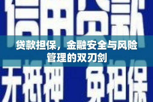 伊金霍洛旗贷款担保，金融安全与风险管理的双刃剑