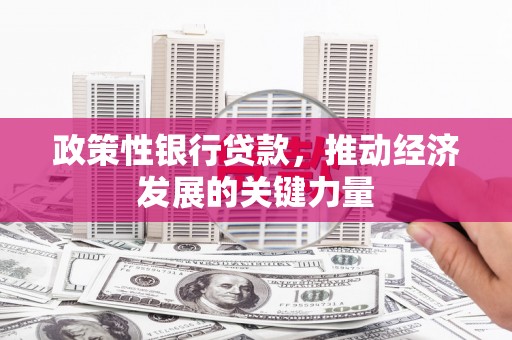 路环岛政策性银行贷款，推动经济发展的关键力量