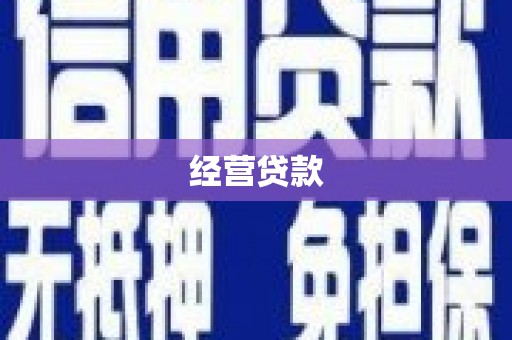二水经营贷款
