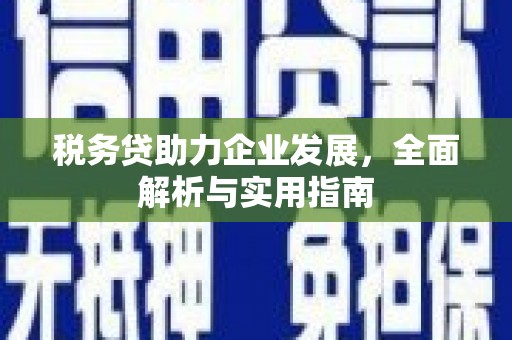 清流税务贷助力企业发展，全面解析与实用指南