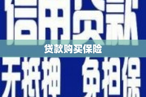 狮子贷款购买保险
