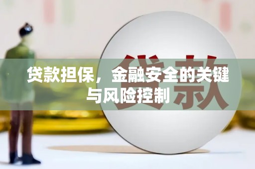 蓝山贷款担保，金融安全的关键与风险控制