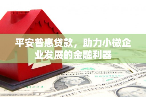 兴隆平安普惠贷款，助力小微企业发展的金融利器