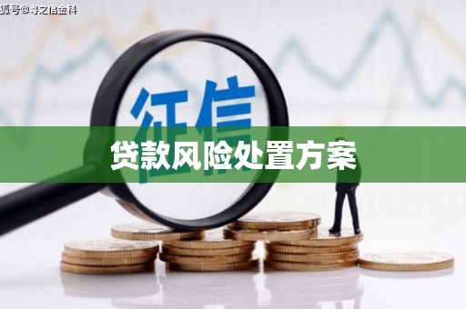 绥化贷款风险处置方案