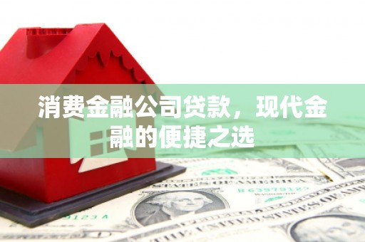 海陵消费金融公司贷款，现代金融的便捷之选