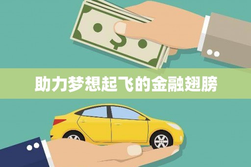 克孜勒苏柯尔克孜助力梦想起飞的金融翅膀