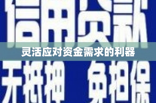盐山灵活应对资金需求的利器