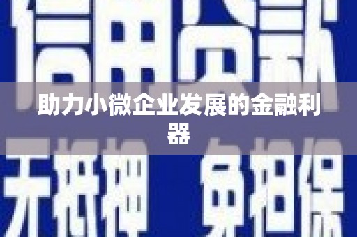芦竹助力小微企业发展的金融利器