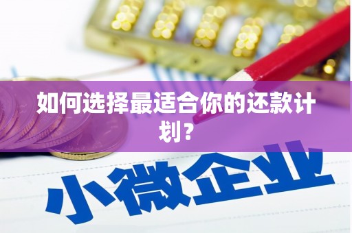 张北如何选择最适合你的还款计划？