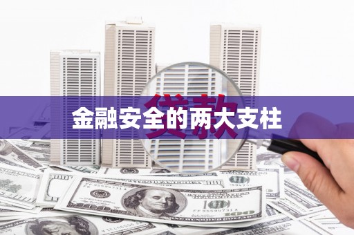江宁金融安全的两大支柱