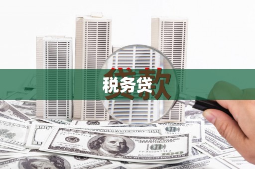 施甸税务贷